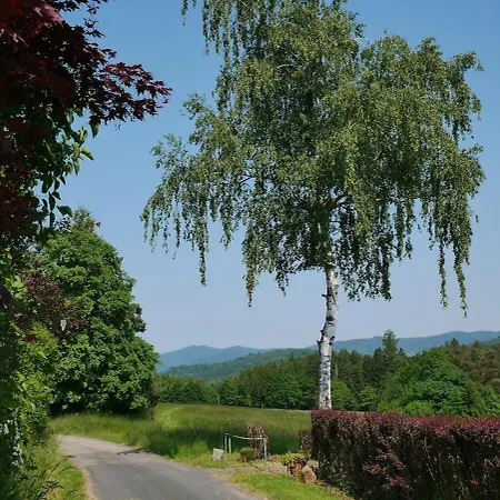 Vila Maison Entiere, Piscine Interieure Chauffee Privee, Proche Alsace