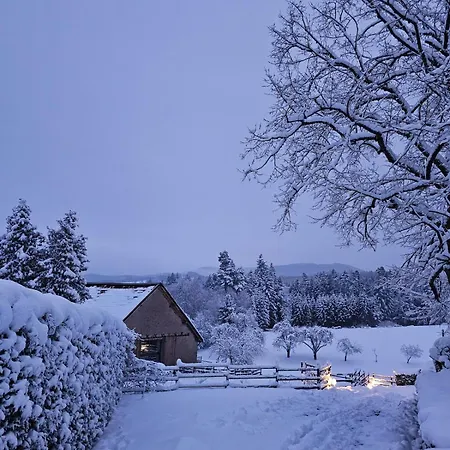 Maison Entiere, Piscine Interieure Chauffee Privee, Proche Alsace Entre-deux-Eaux
